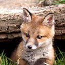 ���� ~���~, �����, 53 ���� - ��������� 7 ������� 2015 � ������ ���� ����������