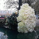 ���� �����, �������� - ��������� 7 ������� 2015 � ������ ������ ��������