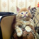 ���� ��������, ��������, 58 ��� - ��������� 5 ����� 2015 � ������ �123�