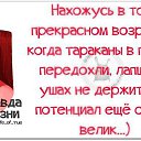 ���� �������, ����� - ��������� 23 ������� 2015 � ������ ���� ����������