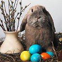 ���� ���������, ����������, 35 ��� - ��������� 5 ������ 2015 � ������ ������ ��������