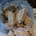 ���� ����� - Nailyshka, ���������� �����, 55 ��� - ��������� 26 ������� 2014 � ������ ������ ��������