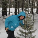  , , 57  -  6  2015       2015