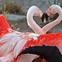 ���� Nik, �����-��������� - ��������� 29 ������ 2015