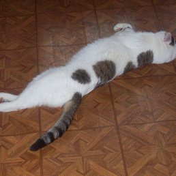 ���� �������, ������, 45 ��� - ��������� 2 ������ 2015