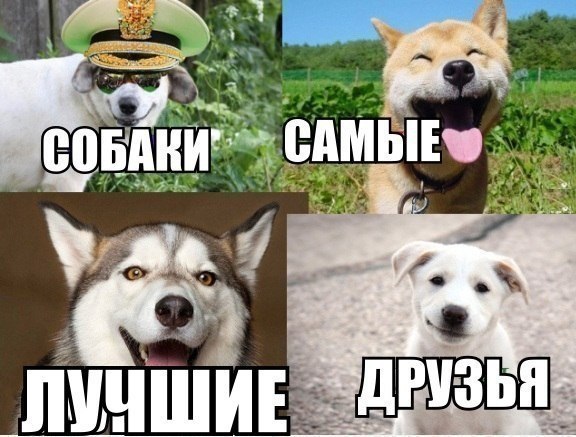    :D - 16  2015  00:30