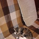 � ����. �� ������� ��������