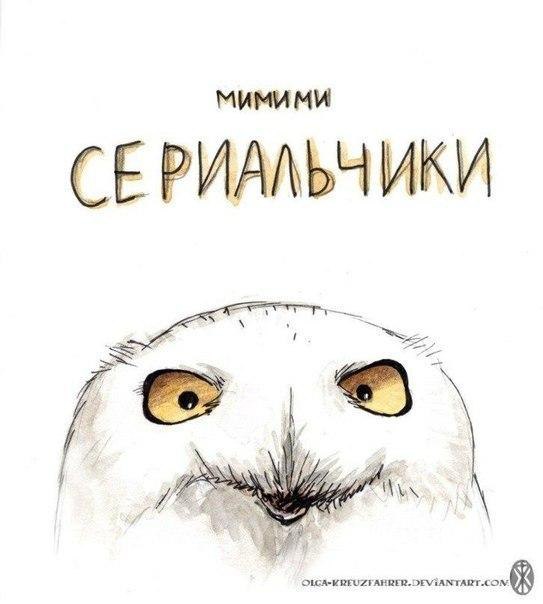       - 6