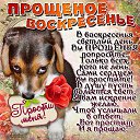 ���� ������� �������, �������������, 45 ��� - ��������� 22 ������� 2015 � ������ ������ ��������