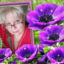 ���� ������, ���������� - ��������� 8 ������ 2015