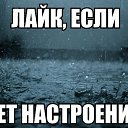  , -, 51  -  16  2015    