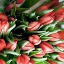 ���� �����, ����������� - ��������� 5 ����� 2015