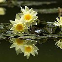 ���� �������, ��������� - ��������� 13 ������ 2015 � ������ ������ ��������