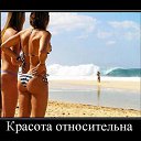 ���� ������, ����, 44 ���� - ��������� 8 ������ 2015 � ������ ������ ��������
