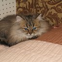 ���� ������. �� �����., ���� - ��������� 31 ������ 2015 � ������ ������ ��������