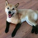 ���� ������, ���������, 45 ��� - ��������� 22 ������ 2015 � ������ ������ ��������