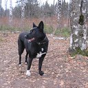 ���� ����, �����, 62 ���� - ��������� 30 ������� 2014 � ������ ������ ��������