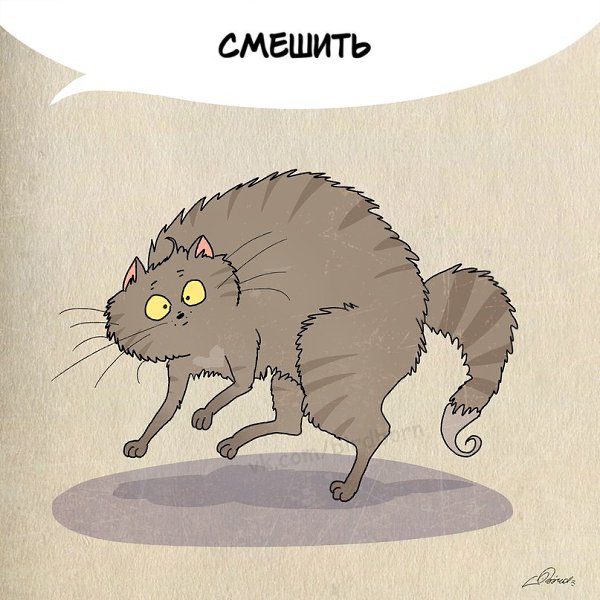 1 марта отмечается День кошек в России :).Нам есть чему поучиться у шерстяных говнюков! - 5