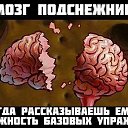 ���� �������, ������ - ��������� 11 ����� 2015 � ������ ������ ��������