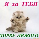 ���� Kolya, ����, 52 ���� - ��������� 10 ������� 2015 � ������ ���� ����������