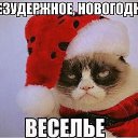 ���� ���������, ������ - ��������� 29 ������� 2014 � ������ ���� ����������