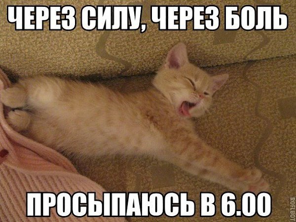 ������������ ���� - 25 ������� 2015 � 17:18