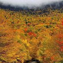 ���� �����, ������, 66 ��� - ��������� 15 ����� 2015 � ������ ������ ��������