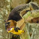 ���� ����, ����������� - ��������� 13 ������ 2015 � ������ ���� �����