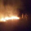 ���� �����, ���������, 36 ��� - ��������� 20 ������� 2014