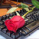 ���� ������, ������ - ��������� 25 ������� 2015 � ������ ������ ��������