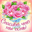 ���� �����, ����� �������, 63 ���� - ��������� 4 ����� 2015 � ������ �������� ��������