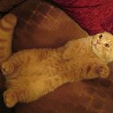 ���� ������, ������������, 67 ��� - ��������� 19 ����� 2015 � ������ ������