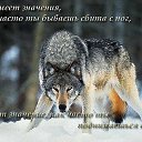 ���� �����, �����-���������, 50 ��� - ��������� 14 ����� 2015 � ������ ������ ��������