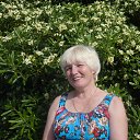 ���� ����, ������ - ��������� 27 ����� 2015