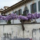 ���� �����, ������, 53 ���� - ��������� 30 ����� 2015