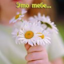 ���� ������ *****, ������������� - ��������� 8 ����� 2015 � ������ ������ ��������