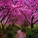 ���� ������, ������ - ��������� 24 ����� 2015 � ������ ���� ����������