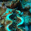 ���� ���������, �����-���������, 55 ��� - ��������� 8 ������ 2015 � ������ ������ ��������