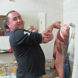 �������, �����-���������, 43 ����