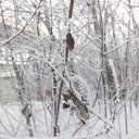 ���� Valka, ������, 63 ���� - ��������� 30 ������ 2015 � ������ ���� ����������