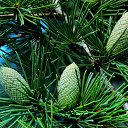 �������� 2014. �� ������� ������Ż