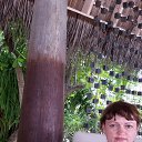 ���� ��������, ��������������, 60 ��� - ��������� 25 ������� 2014 � ������ ���� ����������