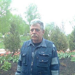 �������, ��������, 66 ���