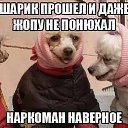 ���� ������, ������, 40 ��� - ��������� 24 ������� 2015 � ������ ���� ����������