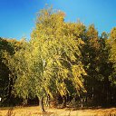 ���� �����, ������, 48 ��� - ��������� 20 ������ 2015