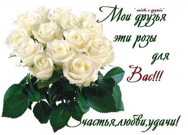 Я Вас не знаю... не знакома с Вами. Ни разу не смотрела Вам в глаза. Какого они цвета, интересно? ...