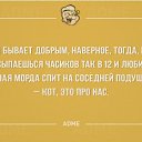 ���� �����, ������ - ��������� 19 ������� 2014 � ������ ������ ��������