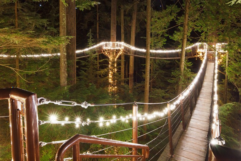     . (Capilano Suspension Bridge)    , ... - 3