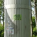 ���� Gosha, ��������, 65 ��� - ��������� 11 ������ 2015 � ������ ������ ��������