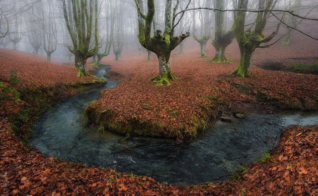    (Gorbea Natural Park)     ().    ... - 2